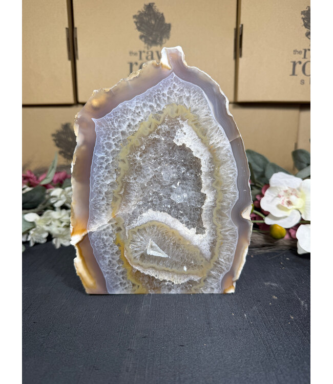 Natural Agate Geode Cut Base #93, 1732gr