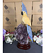 Gemstone Parrot #388, 5354gr