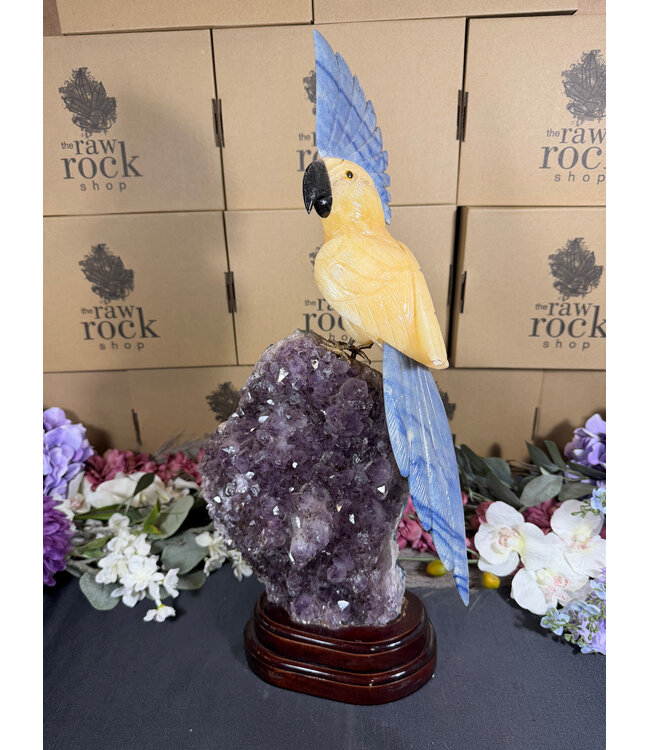Gemstone Parrot #388, 5354gr