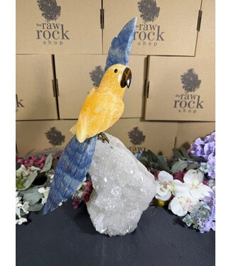 Gemstone Parrot #387, 4544gr