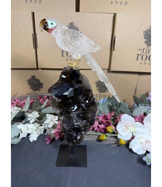 Gemstone Parrot #385, 1776gr