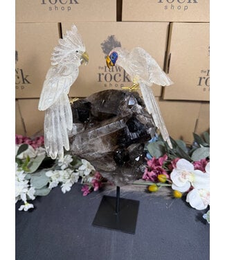 Gemstone Parrot #384, 3902gr