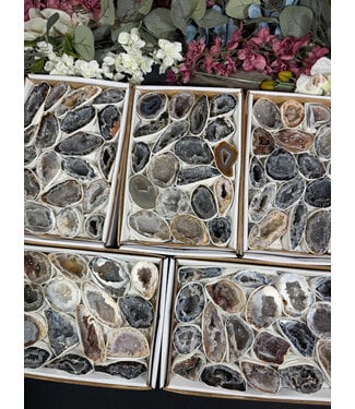 Agate Geode Halves Large, 1 Box