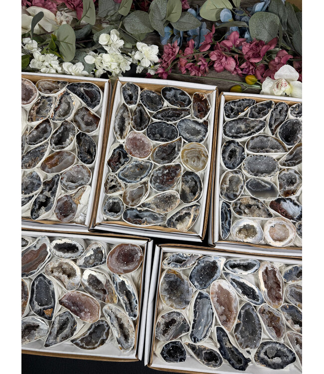 Agate Geode Halves Large, 1 Box