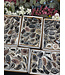 Agate Geode Halves Large, 1 Box