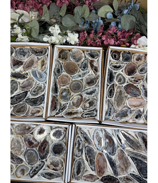 Agate Geode Halves Large, 1 Box
