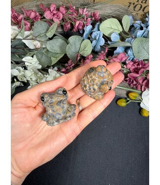 3.5cm Toad