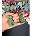 6cm Dragon Buddy