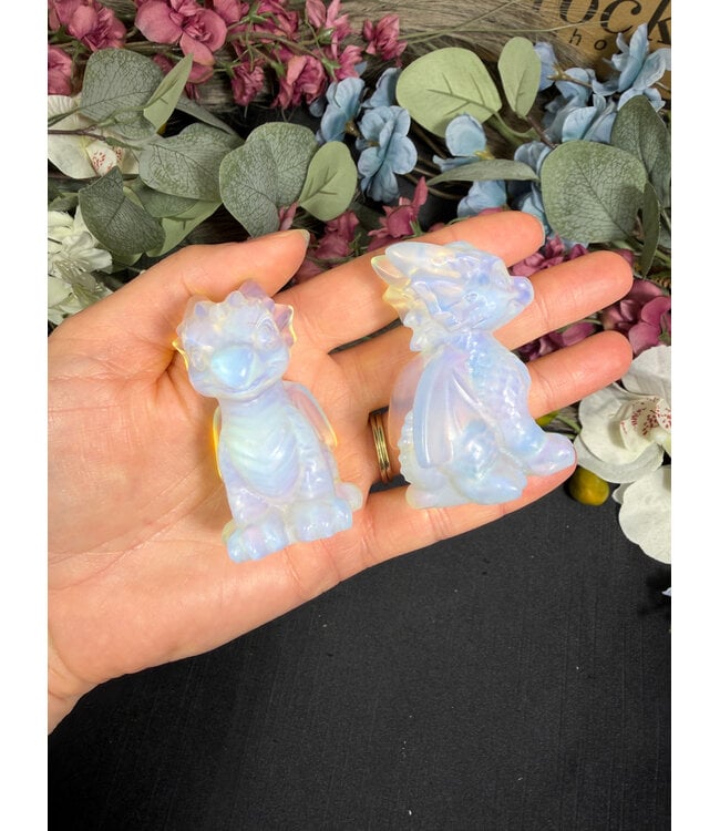 6cm Dragon Buddy