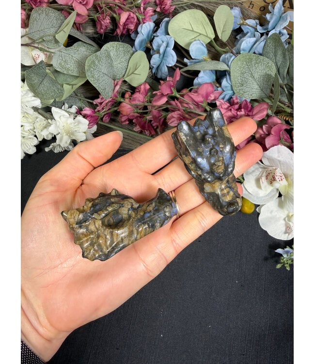 6cm Dragon Head