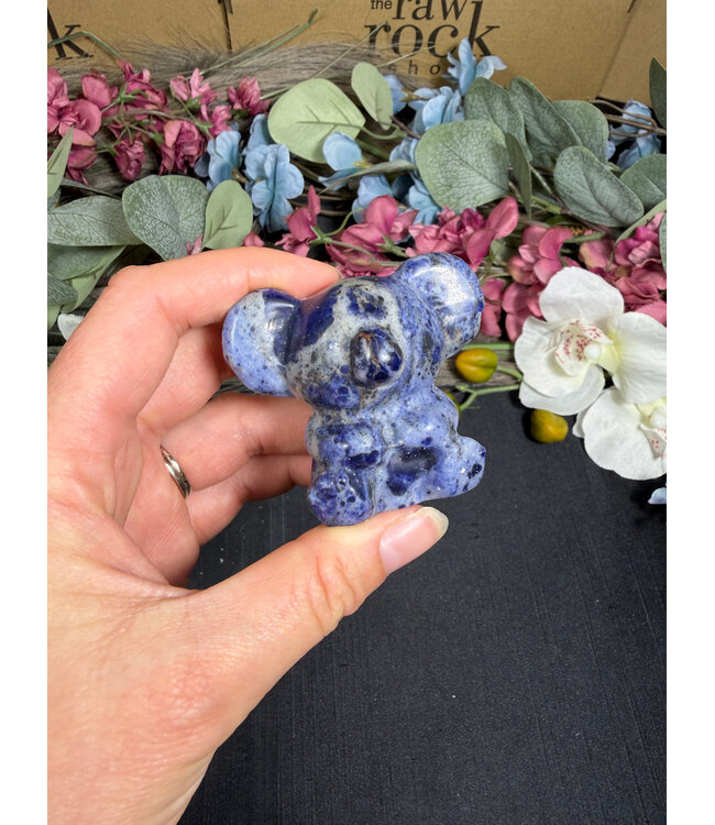 2" Koala