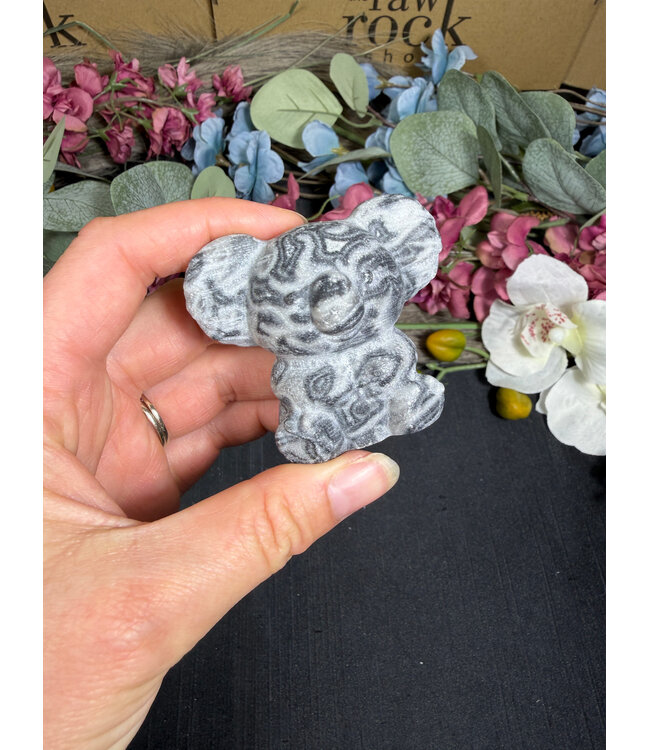2" Koala
