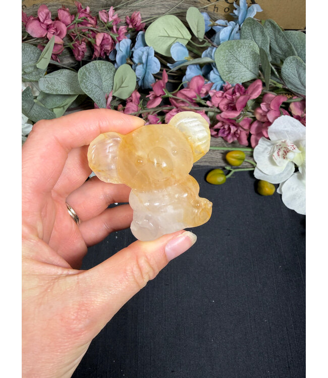 2" Koala