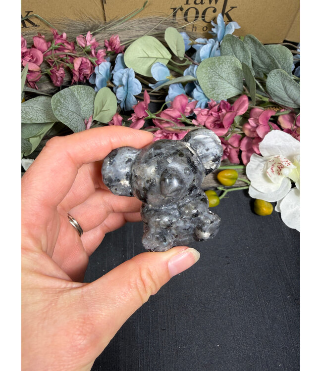 2" Koala