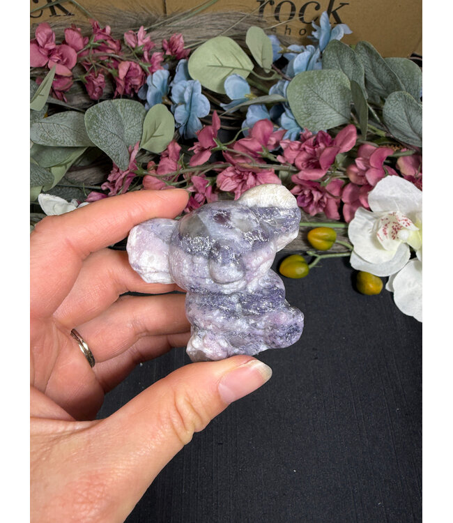 2" Koala