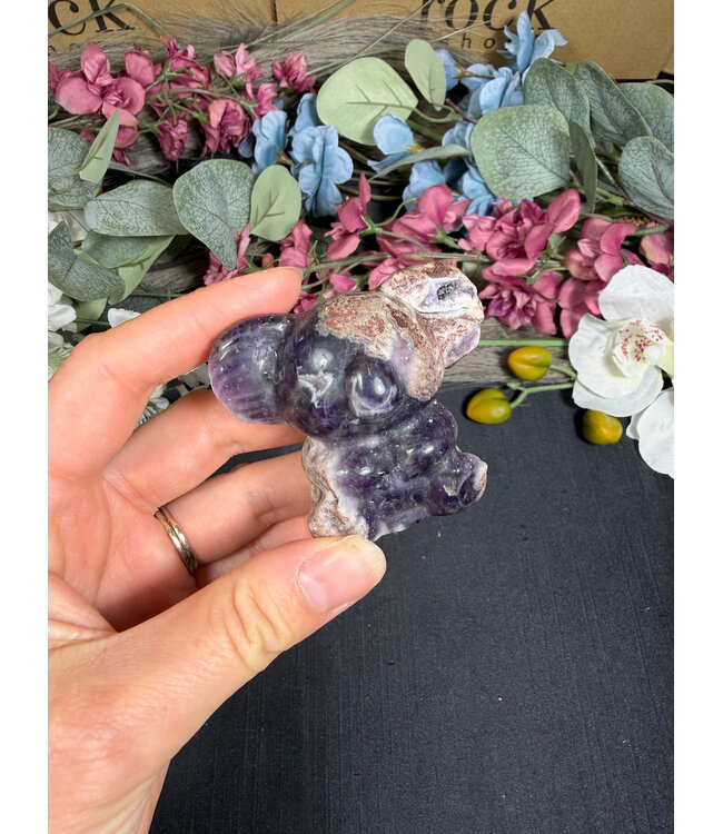 2" Koala