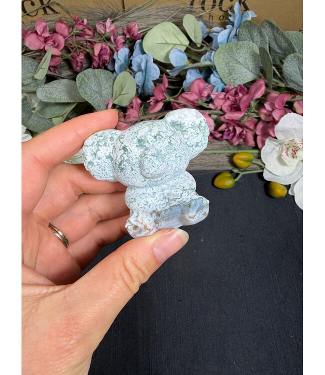 2" Koala