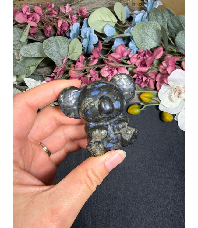 2" Koala