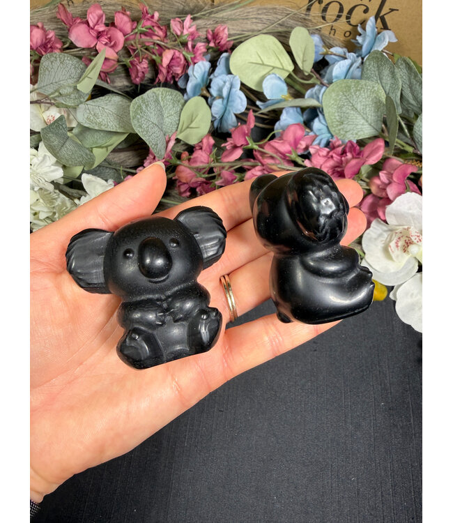 2" Koala