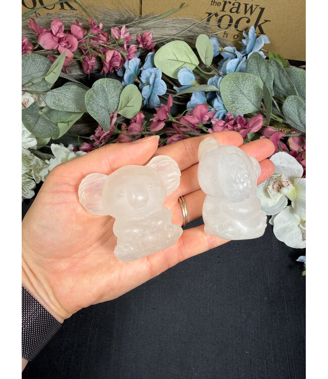 2" Koala