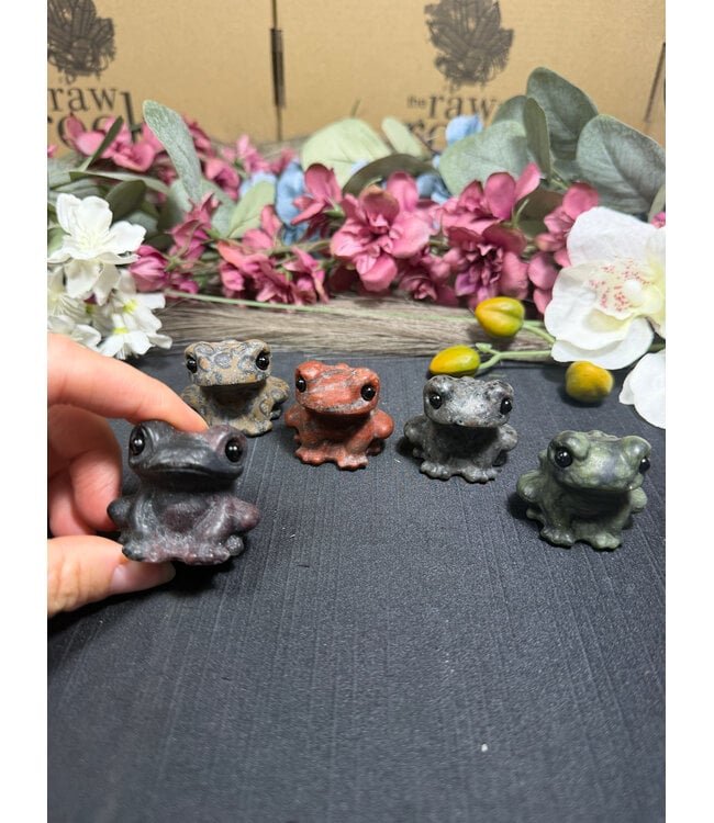 3.5cm Toad