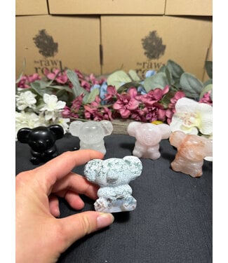 2" Koala