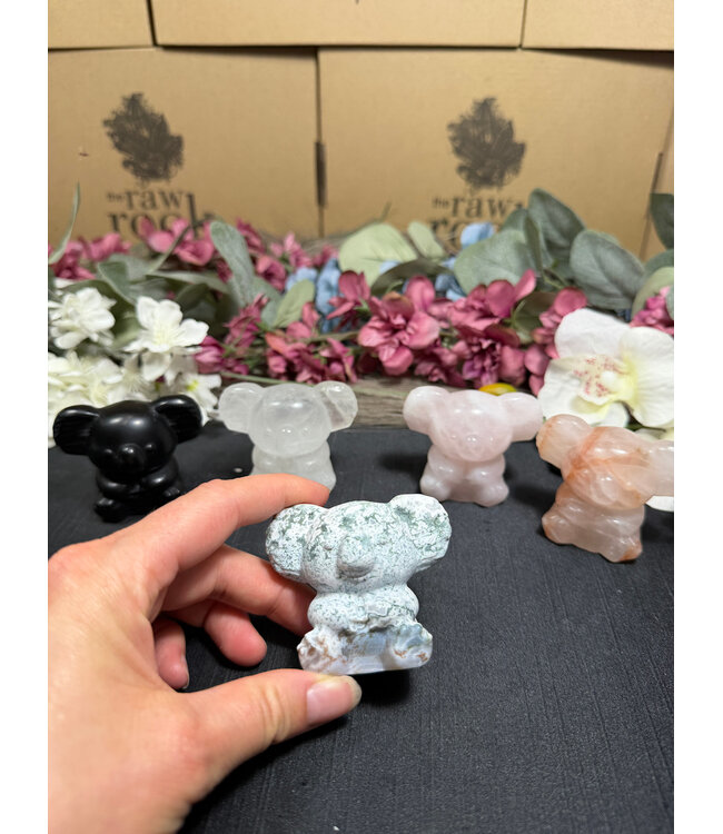 2" Koala