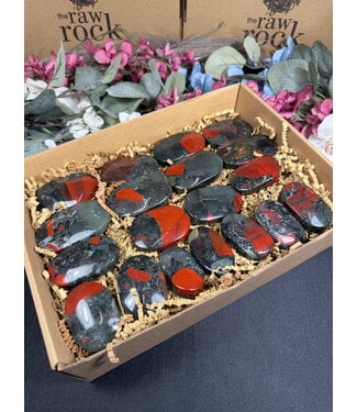 African Bloodstone Palms 1KG bulk lot
