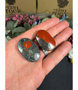 African Bloodstone Palm, Size Baby [1-24gr]