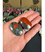 African Bloodstone Palm, Size Baby [1-24gr]