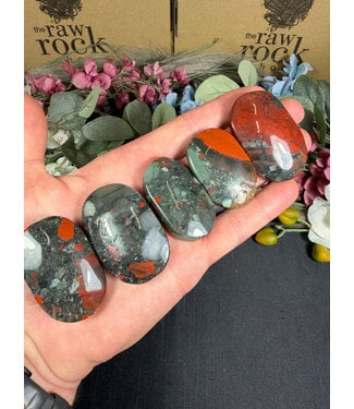 African Bloodstone Palm, Size XX-Small [24-49gr]
