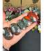 African Bloodstone Palm, Size XX-Small [24-49gr]