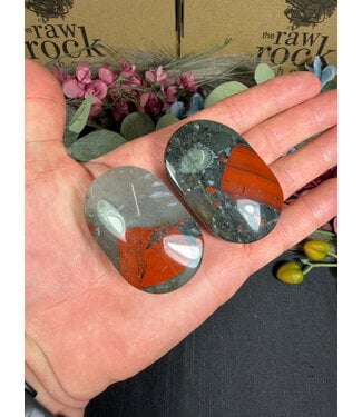 African Bloodstone Palm, Size Small [75-99gr]