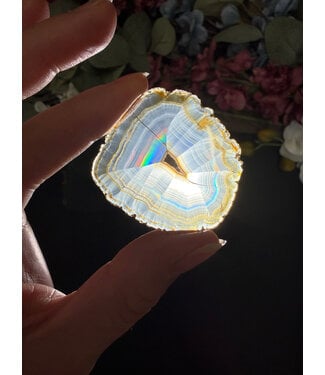 Iris Agate Slice #2, 6gr