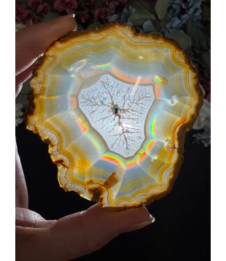 Iris Agate Slice #4, 31.61gr