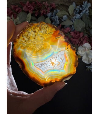 Iris Agate Slice #3, 31.58gr