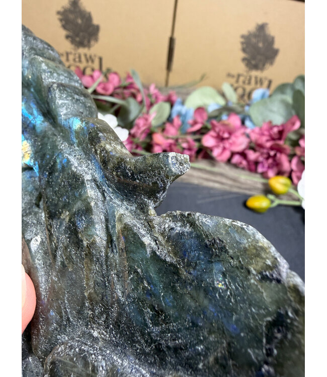 Labradorite Fairy #1, 622gr *dmg*