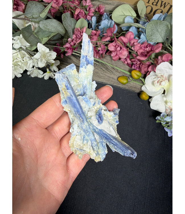 Kyanite Specimen #337, 106gr