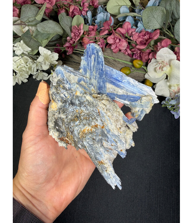 Kyanite Specimen #336, 698gr