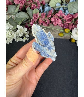 Kyanite Specimen #331, 50gr