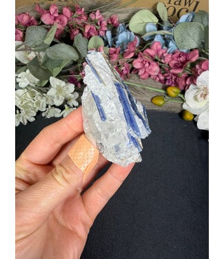 Kyanite Specimen #330, 94gr