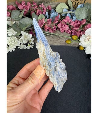 Kyanite Specimen #329, 116gr