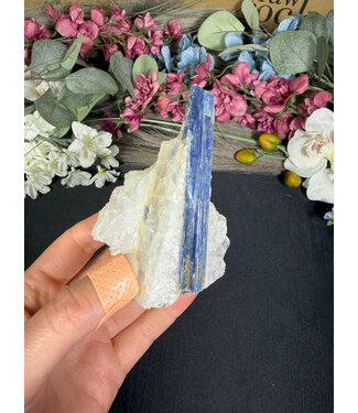 Kyanite Specimen #325, 172gr