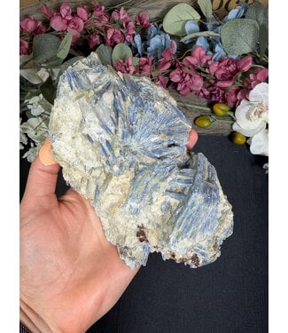 Kyanite Specimen #321, 1040gr