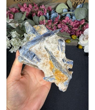 Kyanite Specimen #320, 876gr