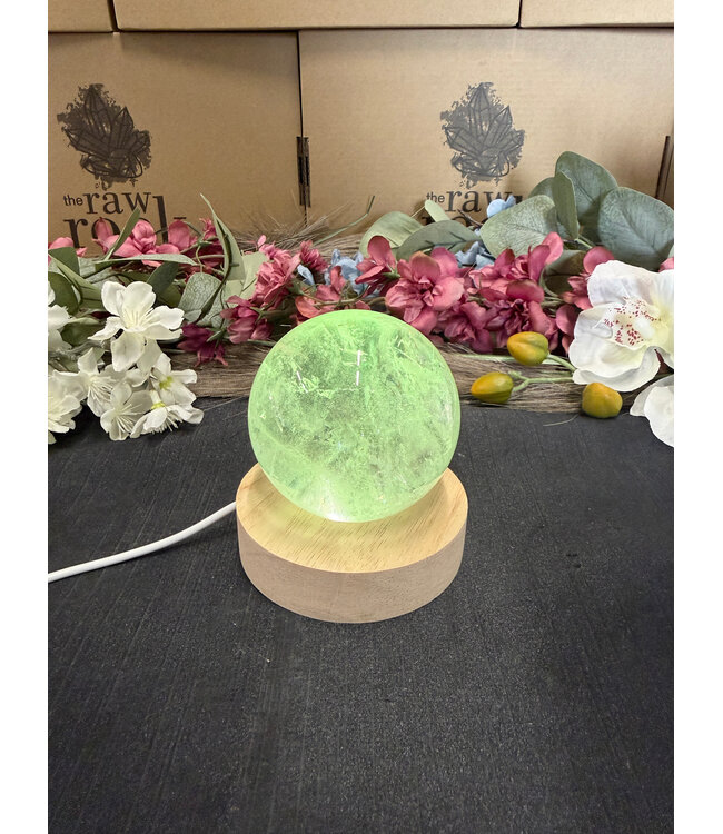 LED Light Base Medium, multi colour