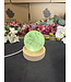LED Light Base Medium, multi colour