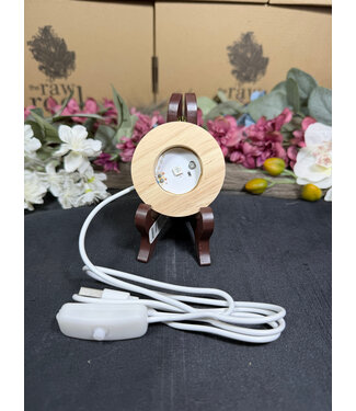 LED Light Base Small, multi colour