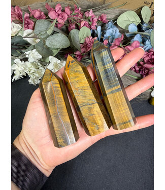 Tiger Eye Point, Size X-Large [100-124gr]