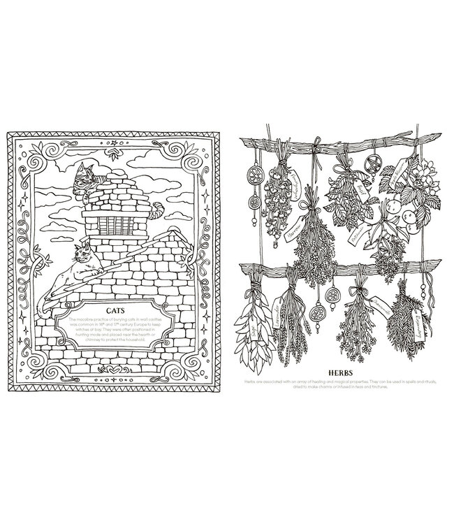 Into the Coven: A Spellbinding Colouring Book for the Modern Witch